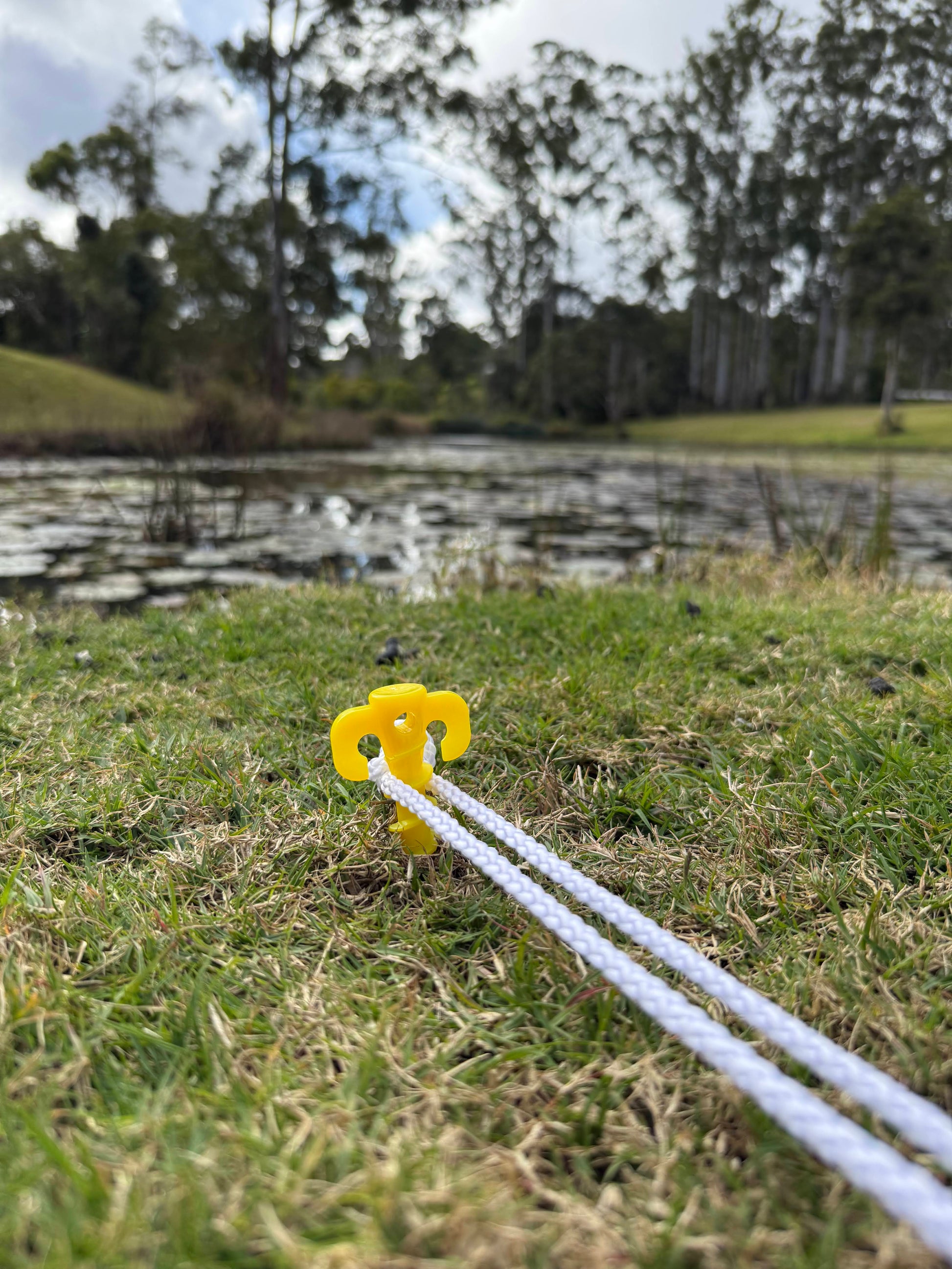 Grass Pegs