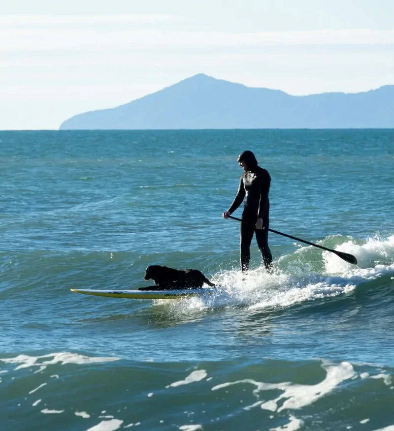 Assembled on the Sunshine Coast